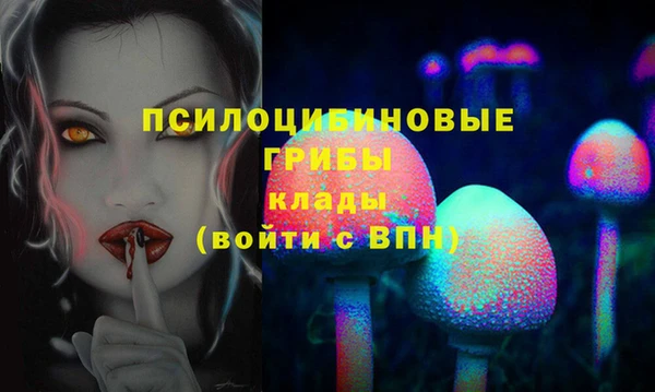 сатива Киренск